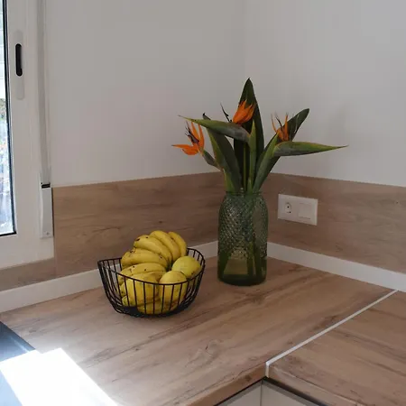 Chicho's Apartment